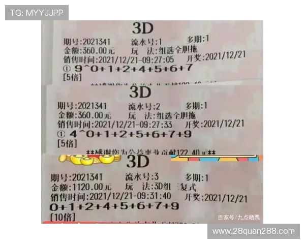 第341期开奖结果揭晓，幸运号码震撼公布！